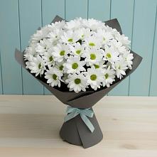 Букет цветов из:  Хризантемы в Старогладовской